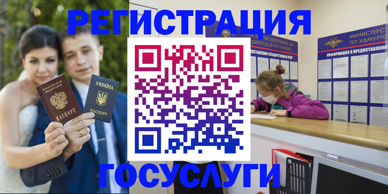 прописка поиск в Камчатском крае